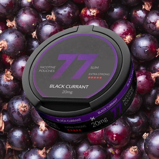 77 Nicotine Pouches Blackcurrant 20mg – Single Tin