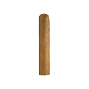Cusano Dominican Short Robusto Cigar – Single