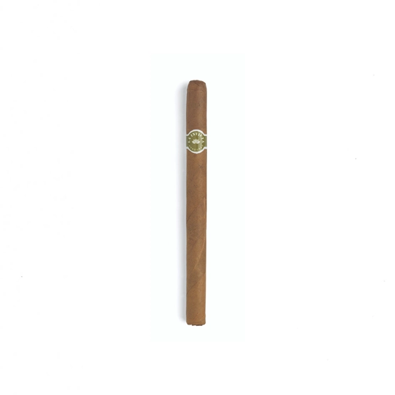 La Invicta Honduran Panatela Cigar – Bundle of 25 - Image 2